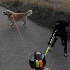 TuffMutt™ Dual Dog Leash