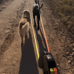 TuffMutt™ Dual Dog Leash