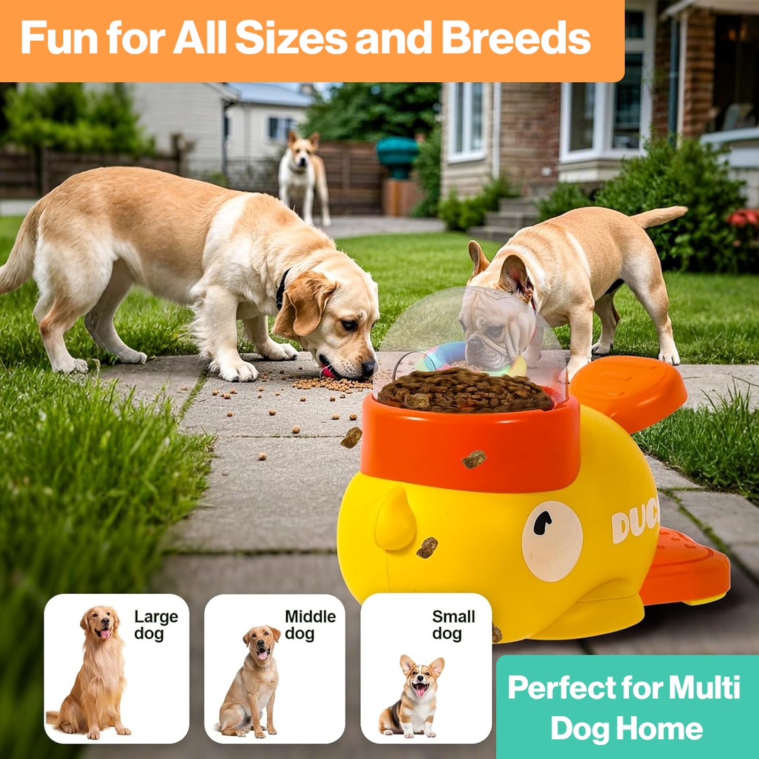 Quack & Snack – Interactive Dog Puzzle Feeder