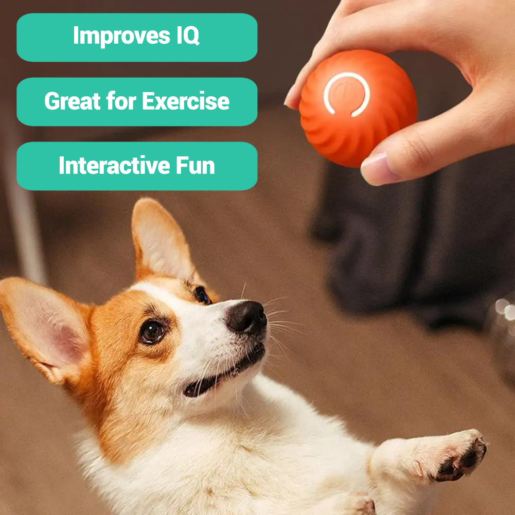 PupBot Smart Bouncing Ball