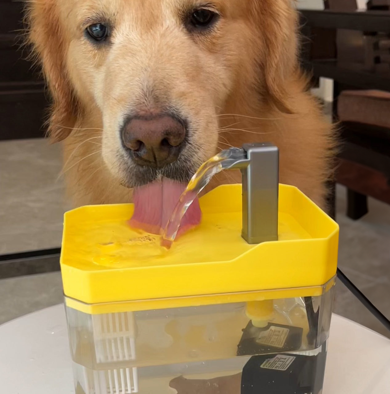 PurePaws Pet Water Fountain