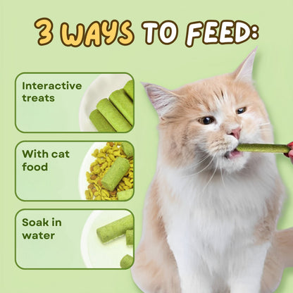 10-Pieces Cat Grass Teething Sticks