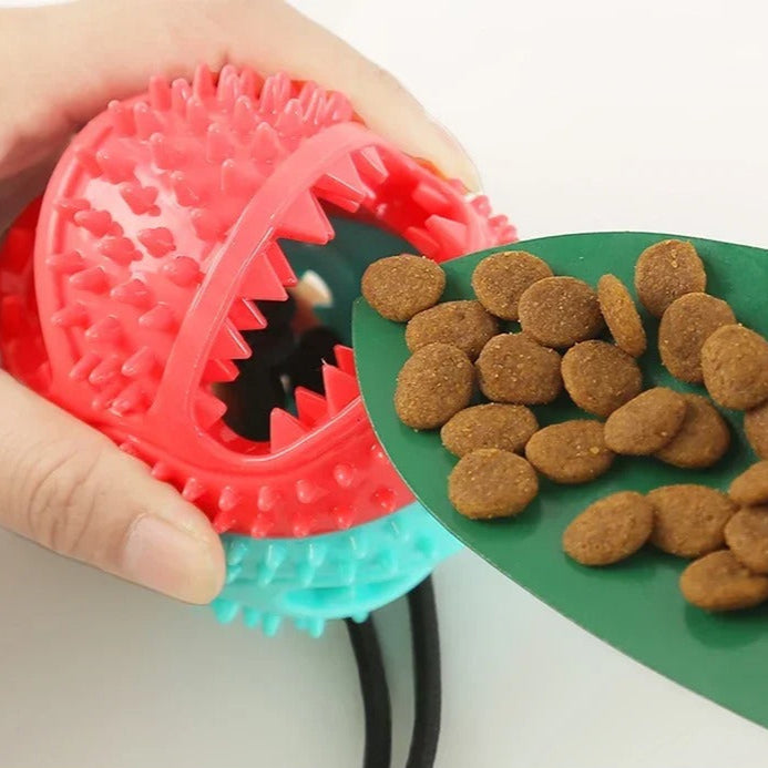 TurboTug Suction Dog Toy