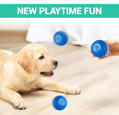 PupBot Smart Bouncing Ball